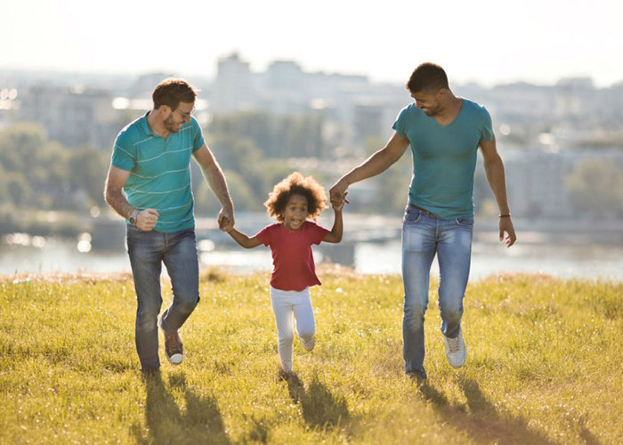 Adoption plénière